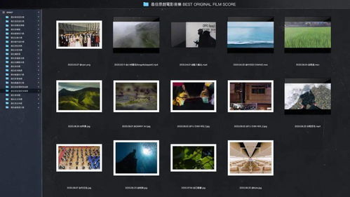 金馬獎入圍影片設計 從動態(tài)圖形到影視策劃的蛻變